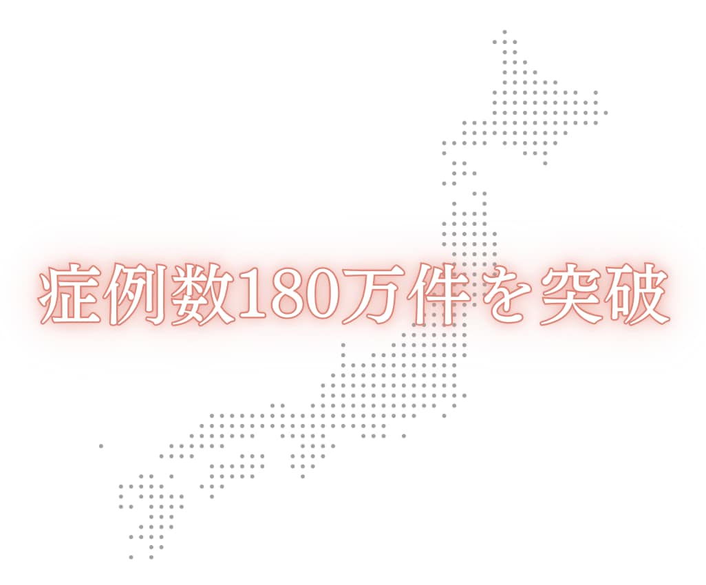 豊富な実績