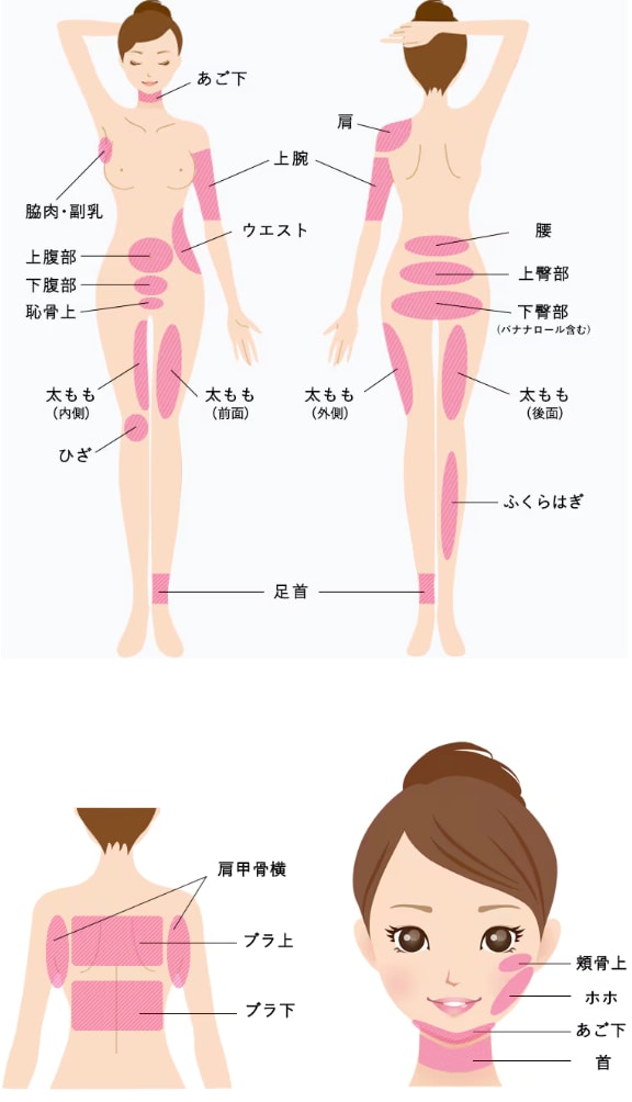 豊富な対象部位