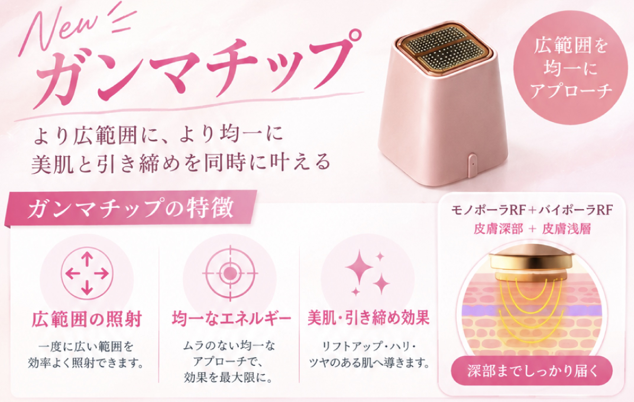    ＼ 目的に合わせて選べる3つのチップ ／