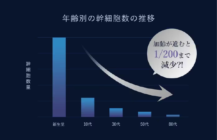 幹細胞の数は、加齢が進むと200分の1に減少！？