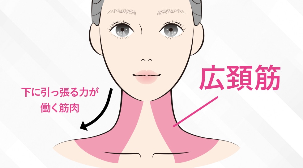 「広頚筋」への注入でたるみを上向きに!