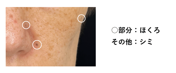 実際何が違うの？