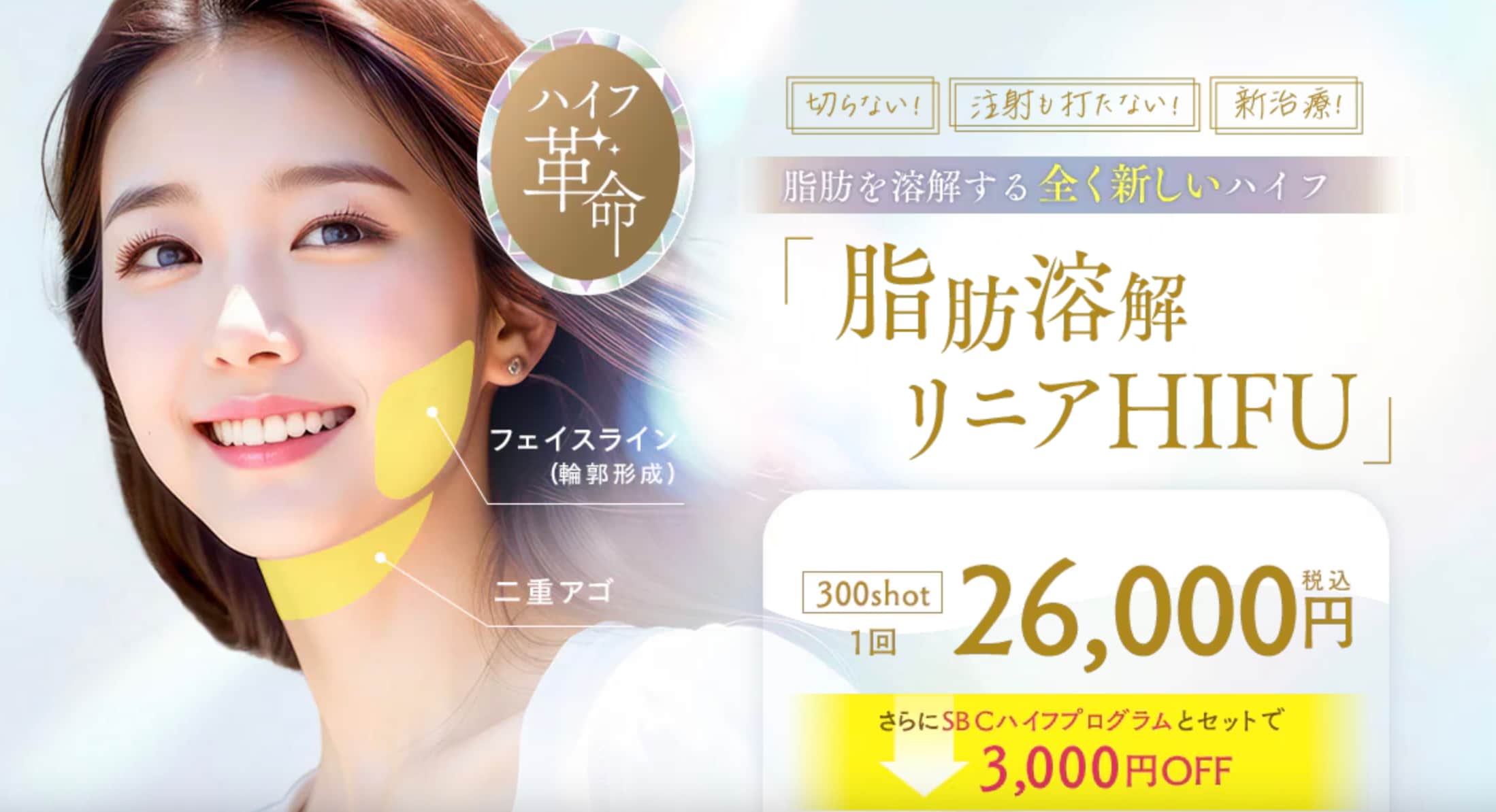 脂肪にアプローチする小顔治療