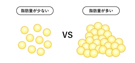 ③元々の脂肪量が少ない