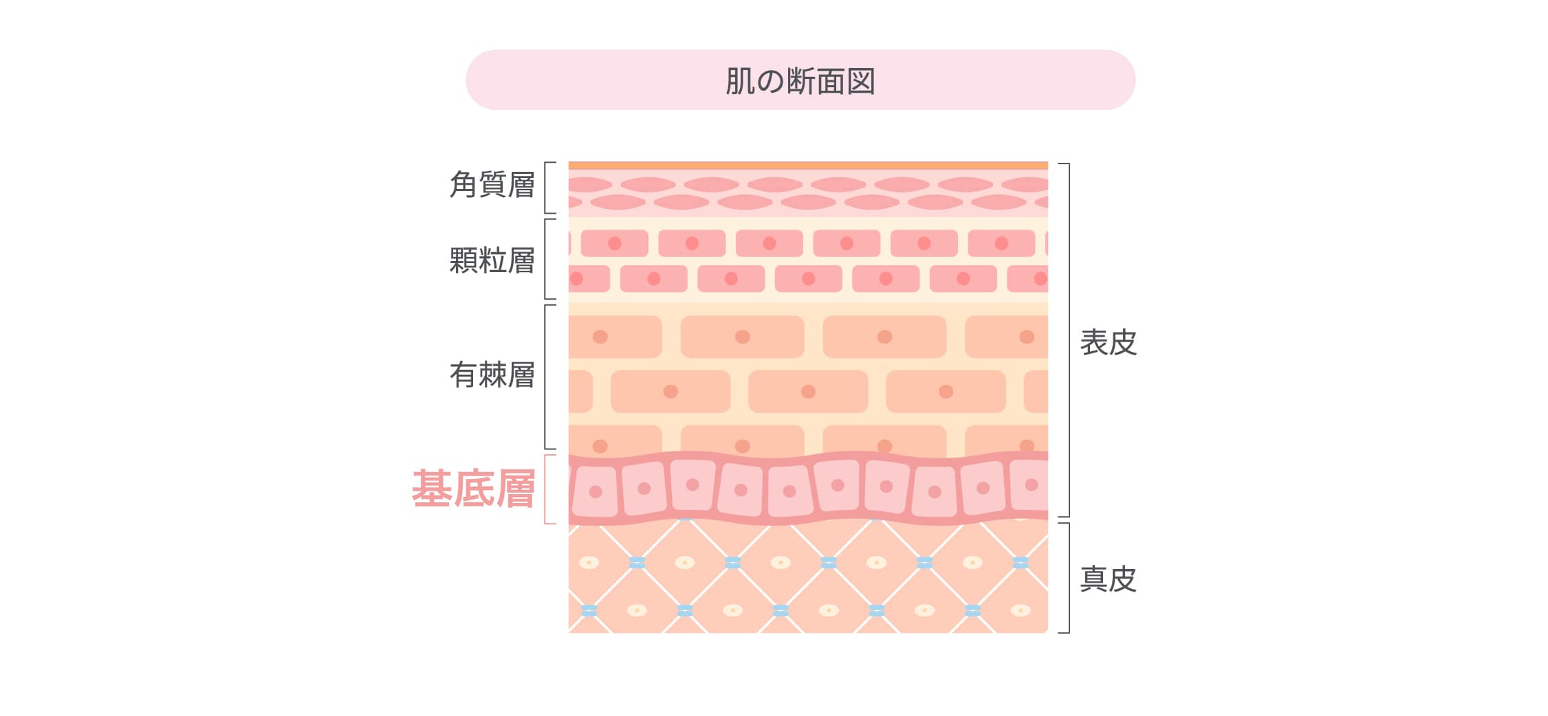 【特徴1】高精度なRF（高周波）により難治性の症状を改善