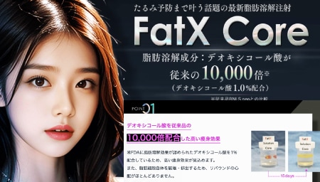 FatX Core（ファットエックス コア）