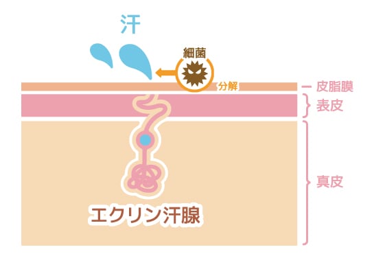 汗の量が異常に多い「多汗症」