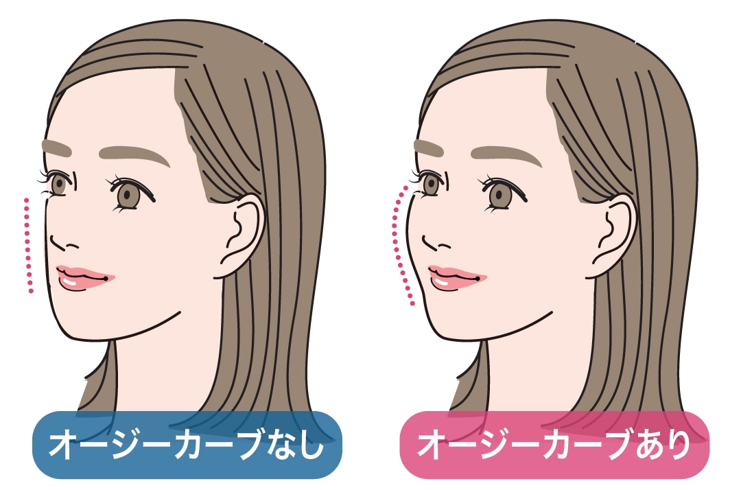 美しい輪郭の指標、OGカーブ（オージーカーブ）