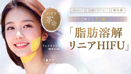 脂肪溶解リニアハイフ（併用割適用）