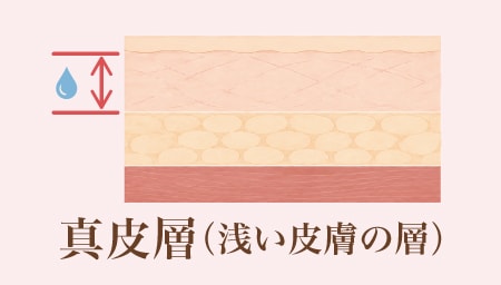従来のプロファイロ（真皮層・肌質改善）