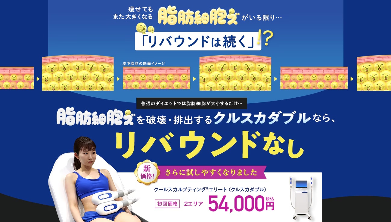 努力で痩せにくい場所でも細胞からやせる!