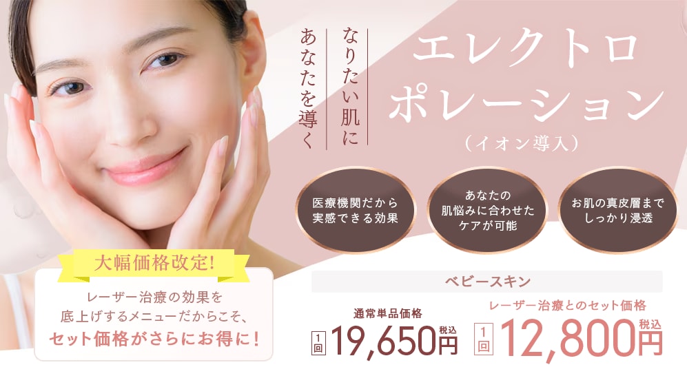 エレクトロポレーション