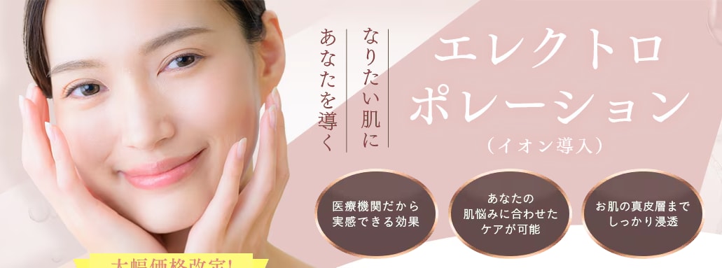 エレクトロポレーション