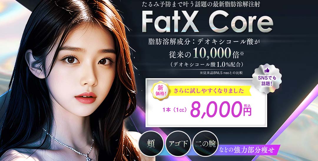 FatX Coreとは？