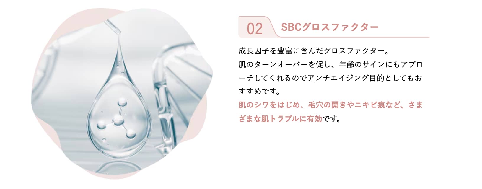 SBC グロスファクター