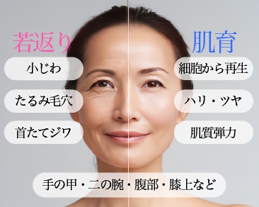 幅広いお悩みに効果的なプロファイロ