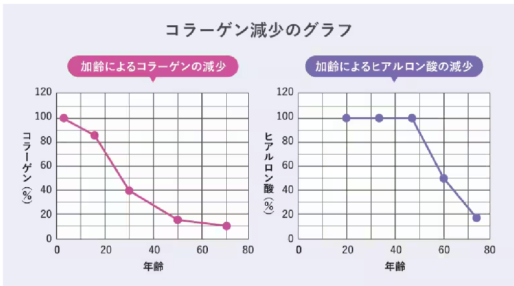 加齢で失われたコラーゲンの再生・促進