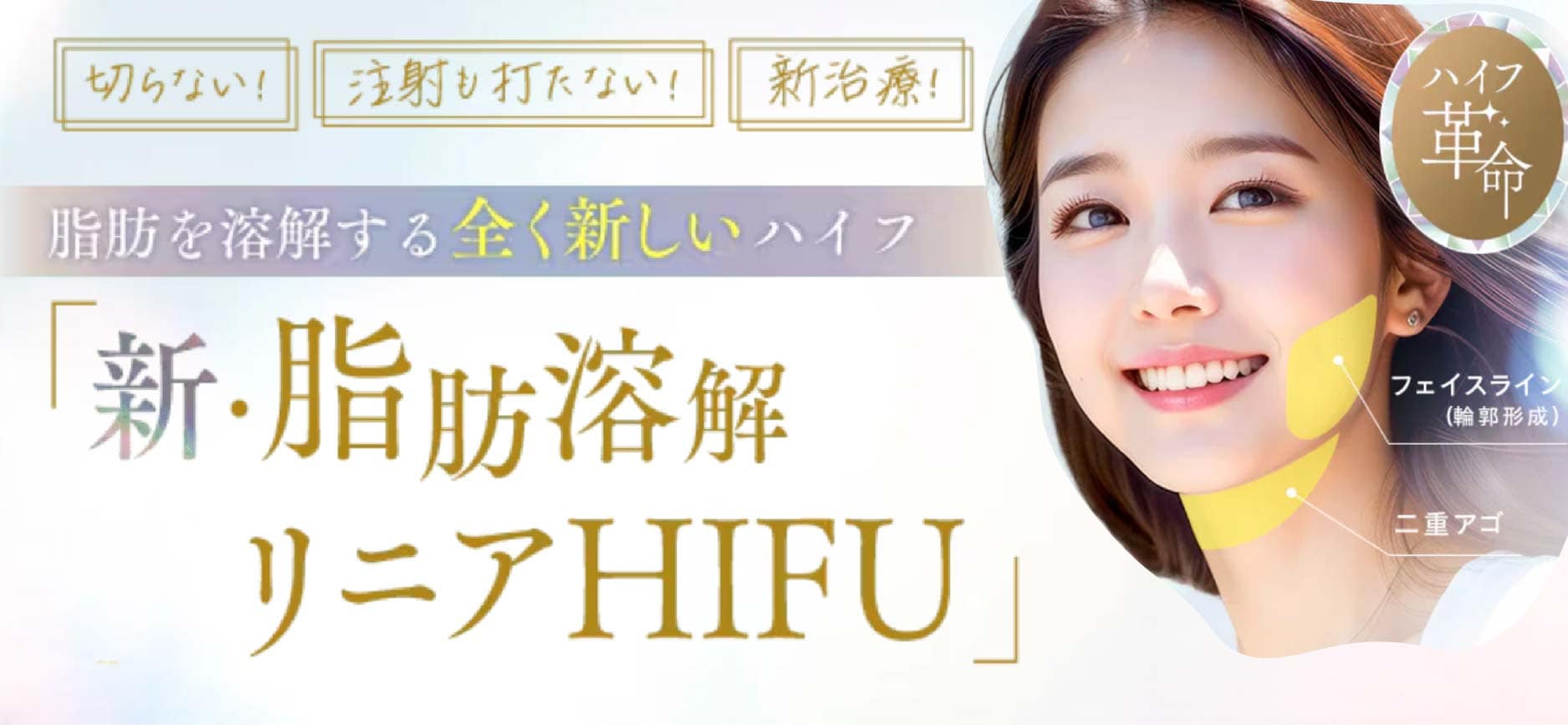 新・脂肪溶解リニアハイフ