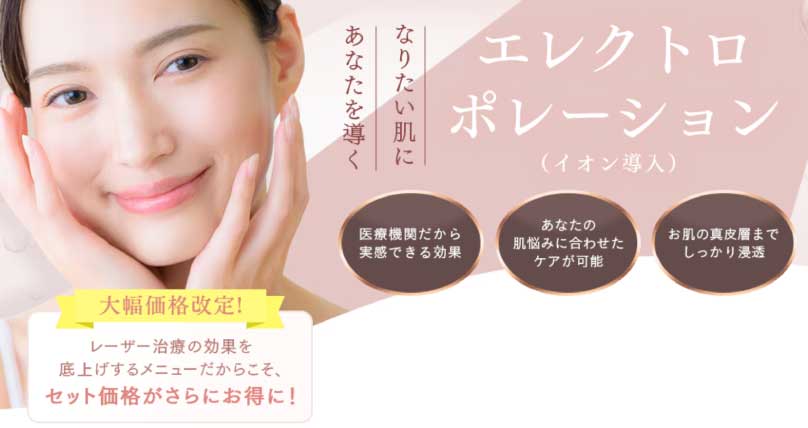 エレクトロポレーション(イオン導入)