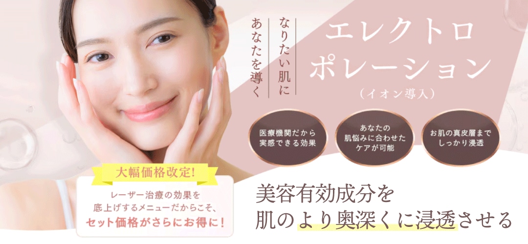 エレクトロポレーション(イオン導入)