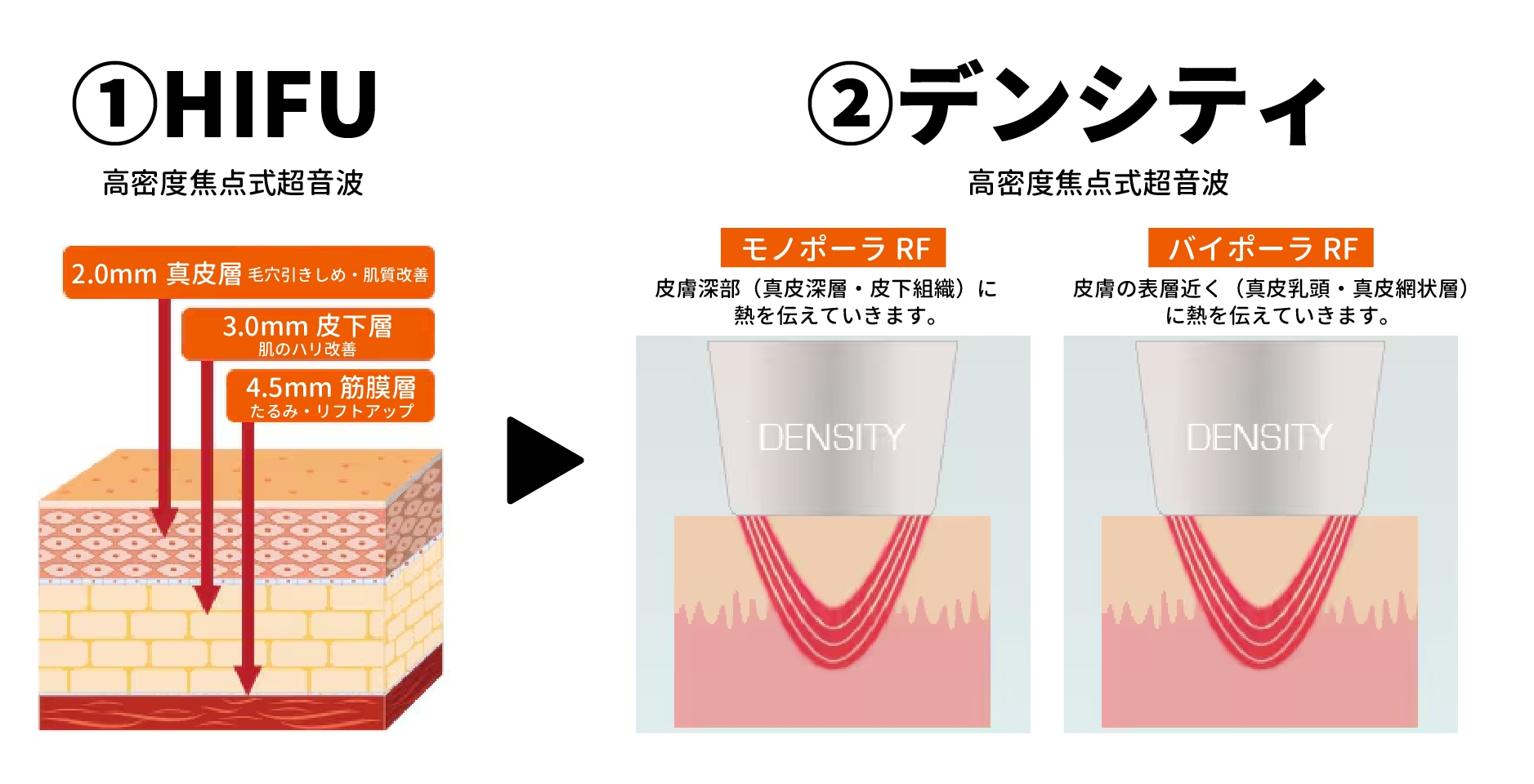 大阪・関西の女性が選ぶ、最新の「2層同時引き締め」理論