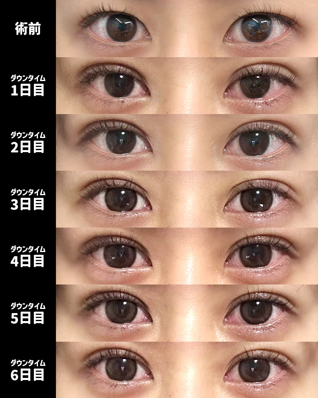 活動歴および当時の関連ビジュアル記録