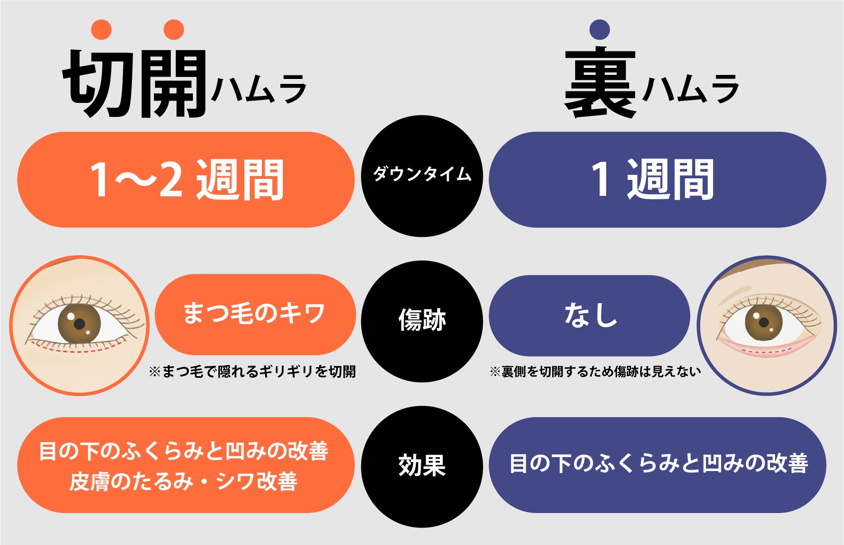 切開と裏の違いを比較