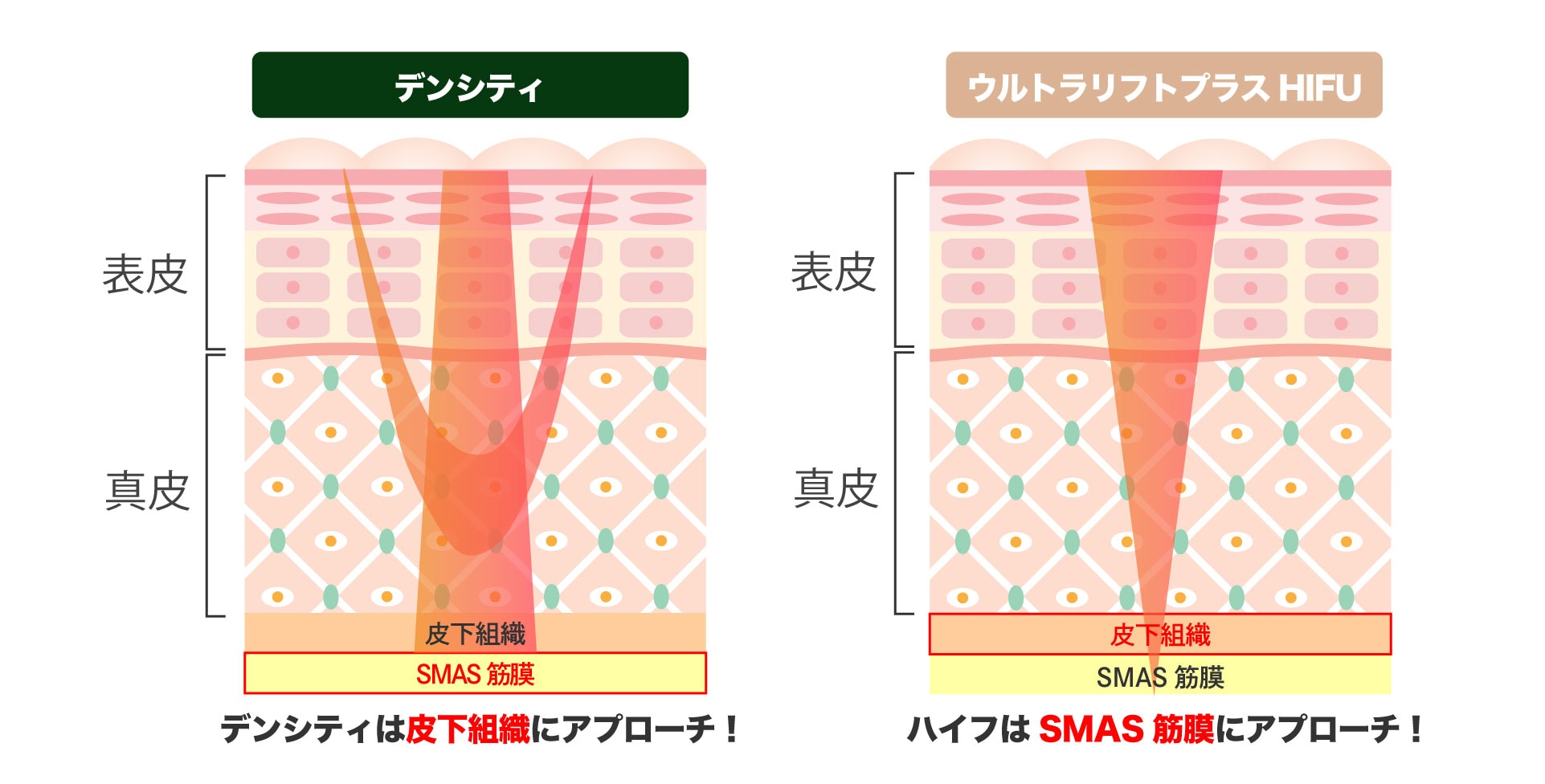 それぞれアプローチする層が違います‼️