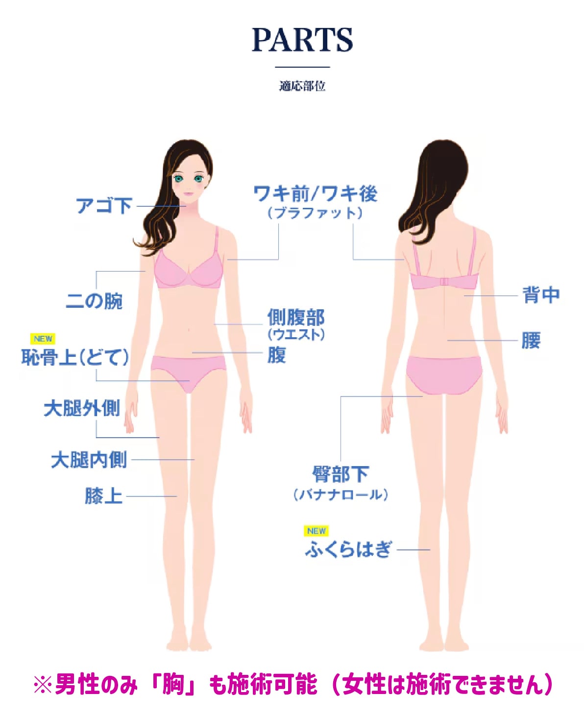 施術可能部位はこちら
