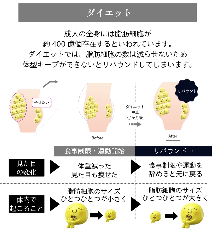 エステ・自己流ダイエット（食事制限や運動）の体重減少の仕組みは？