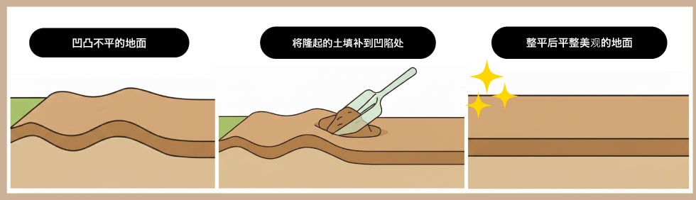 能夠「再利用」自身組織
