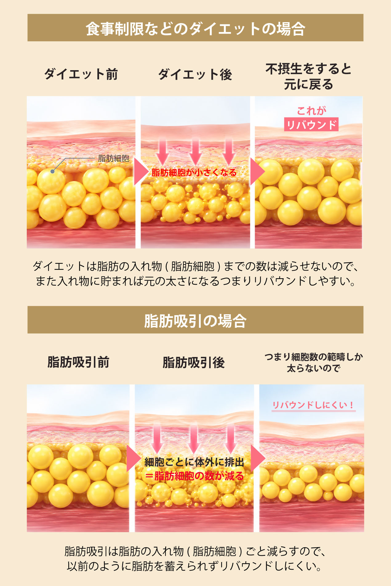 Q. 効果はいつ頃から実感できますか？リバウンドはしますか？
