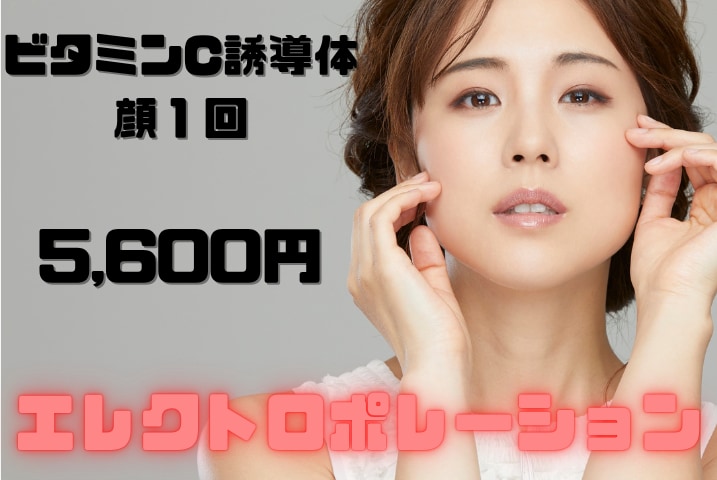 エレクトロポレーション ビタミンC 顔 1回：5,600円(税込)