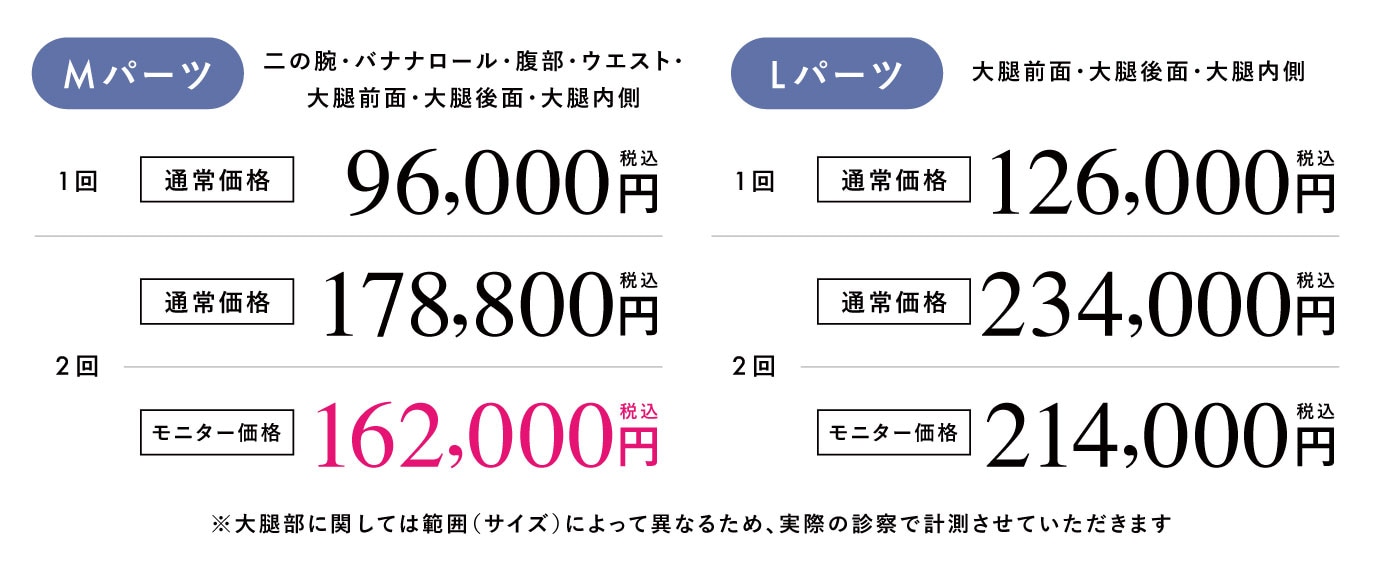 モフィウスボディの料金