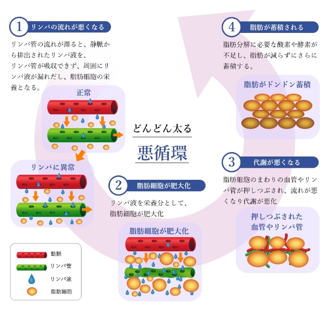 どんどん太る!?<br />
