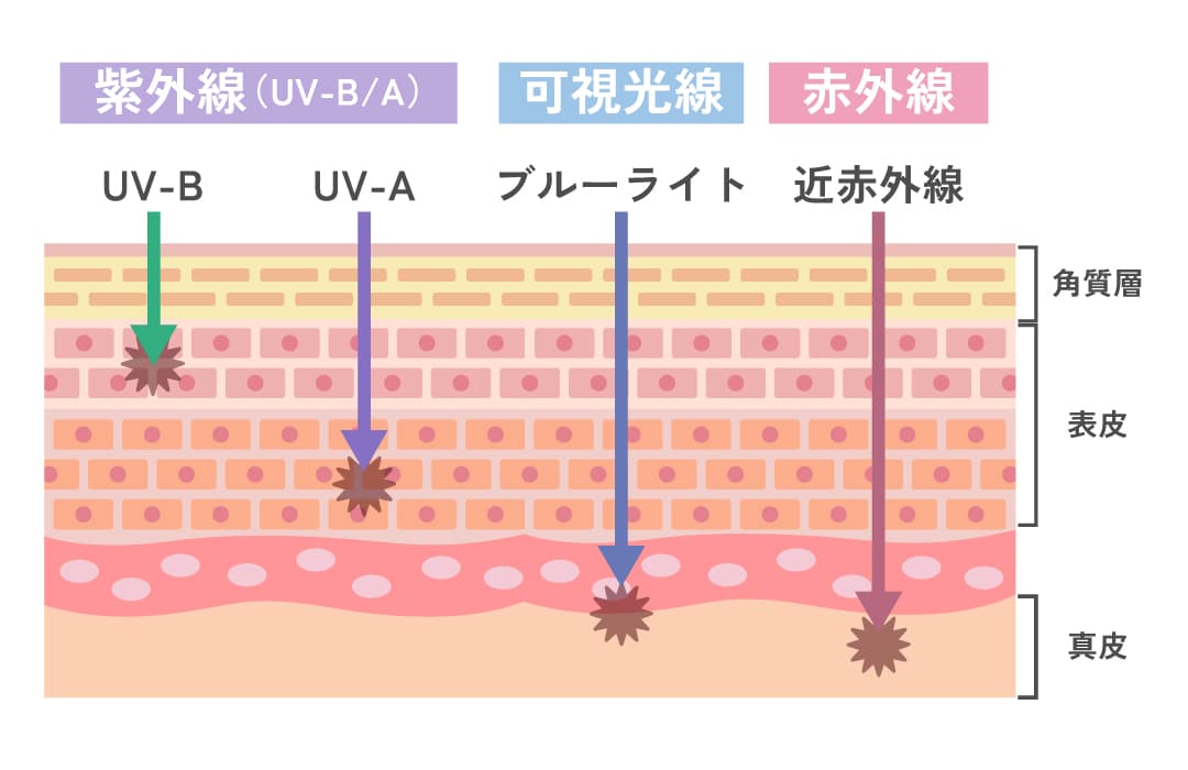日常に潜む老化の原因3選