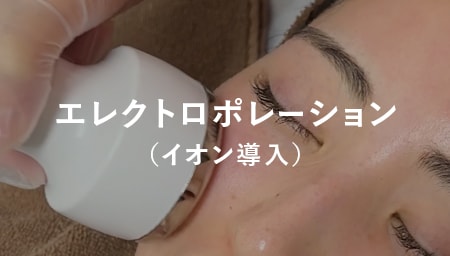 エレクトロポレーション（イオン導入）