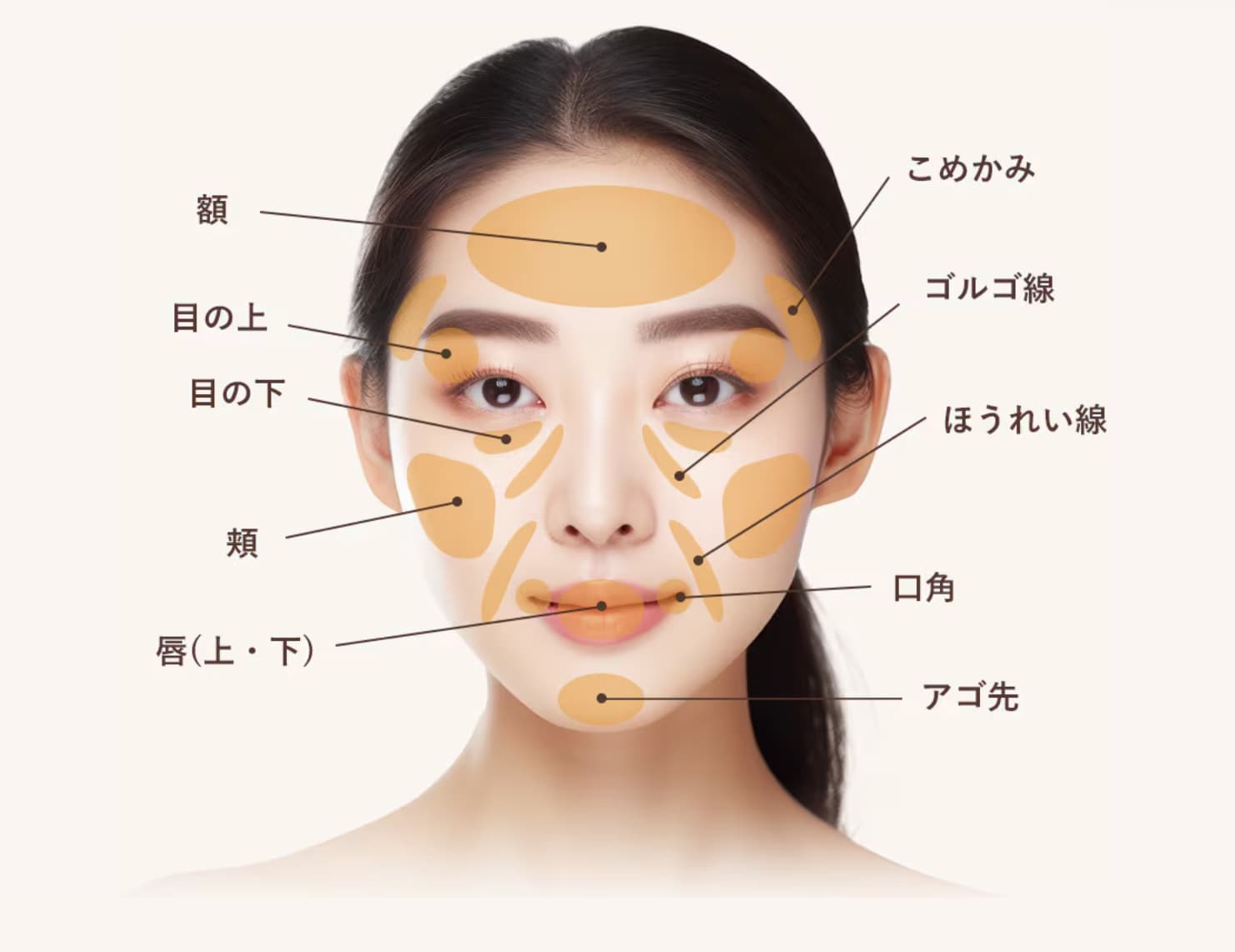 脂肪注入箇所