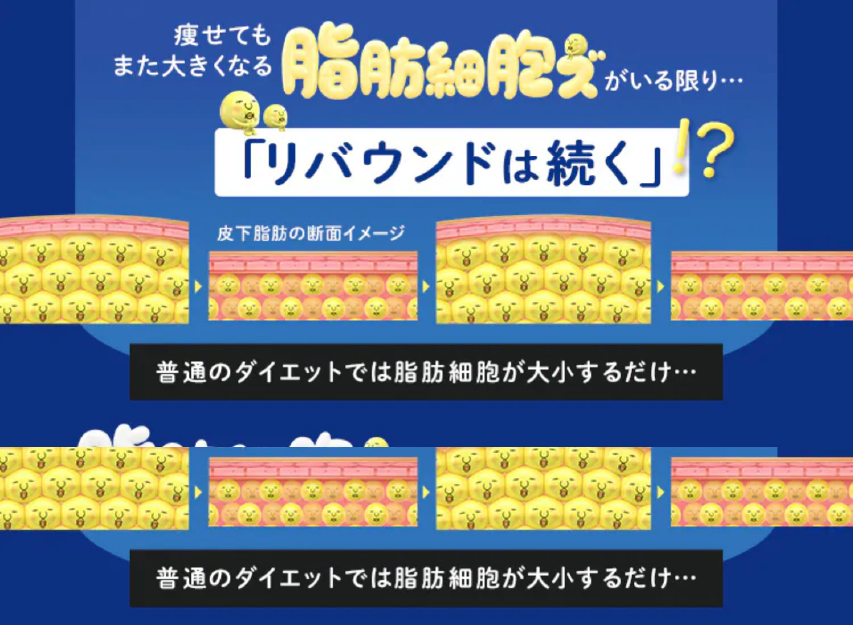 努力しても落ちない“頑固な脂肪”の正体
