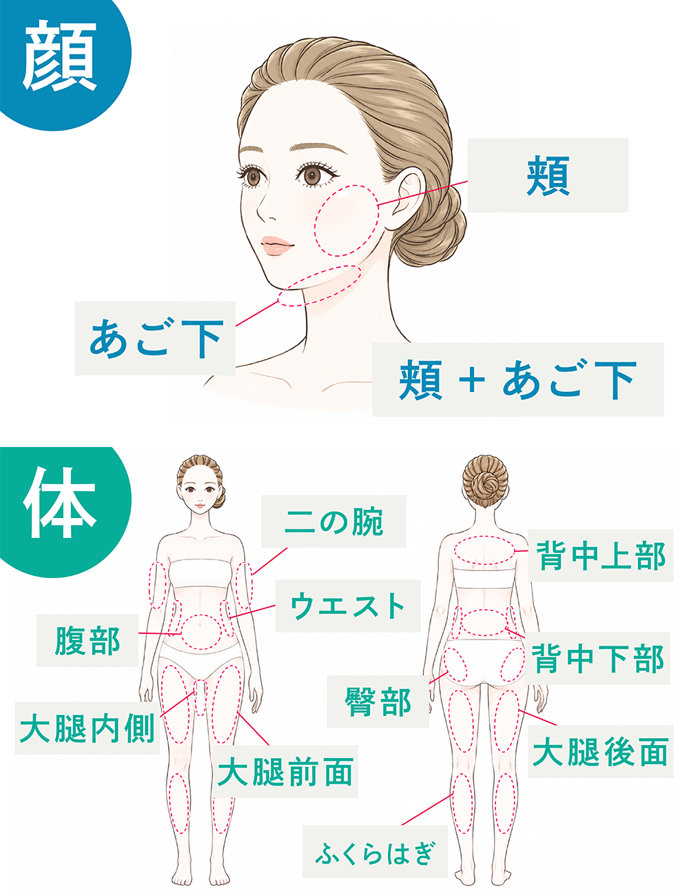 どこに照射できる？