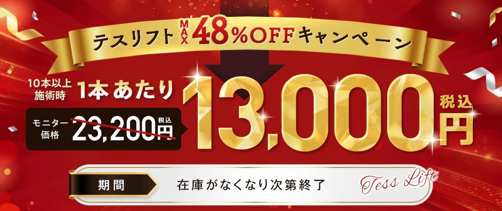 在庫限り！テスリフト 特別価格