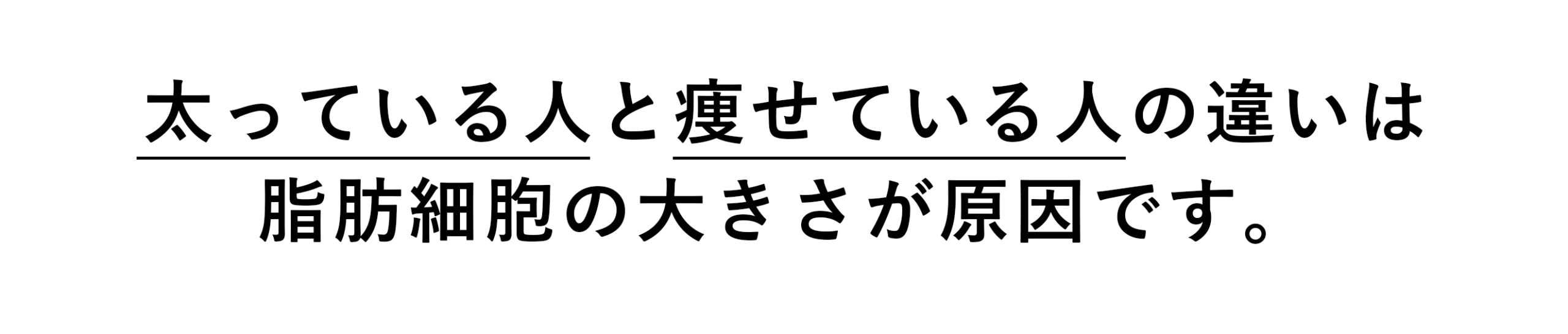 脂肪吸引と脂肪吸引注射ならリバウンドが起こりづらい
