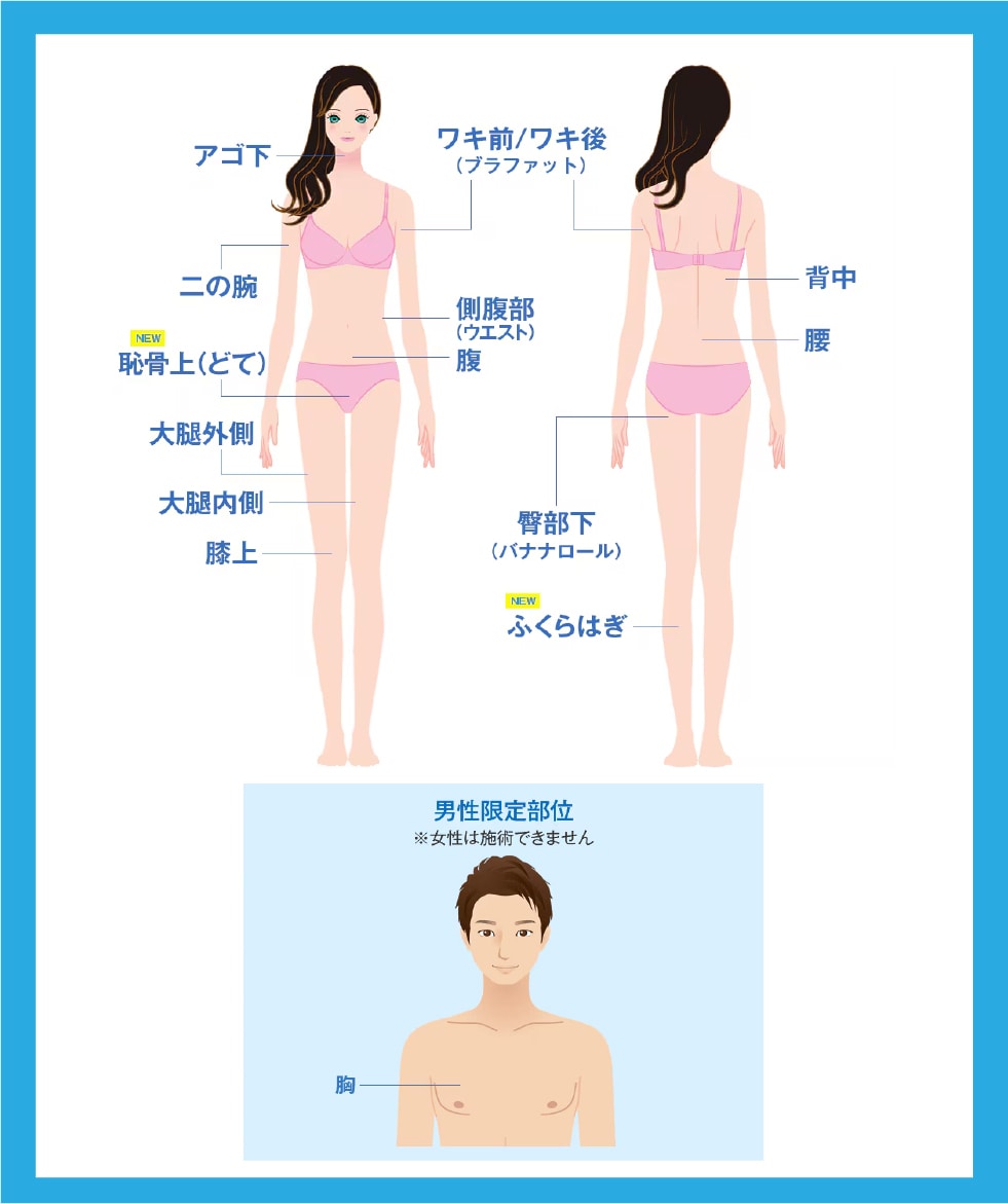 クルスカを受けられるのはこの部分