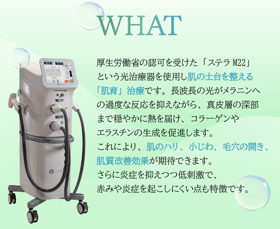 肌の土台から健やかさを引き出す光治療