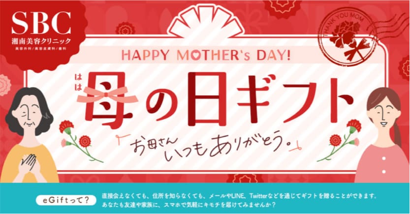 100-3]一宮美容クリニックで使えるふるさとギフトチケット30,000円  