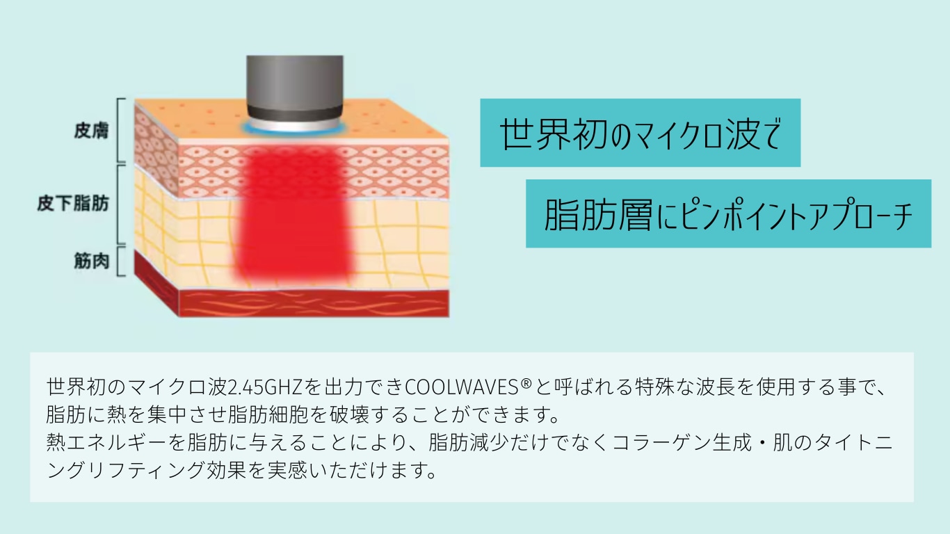 脂肪細胞へのアプローチ!