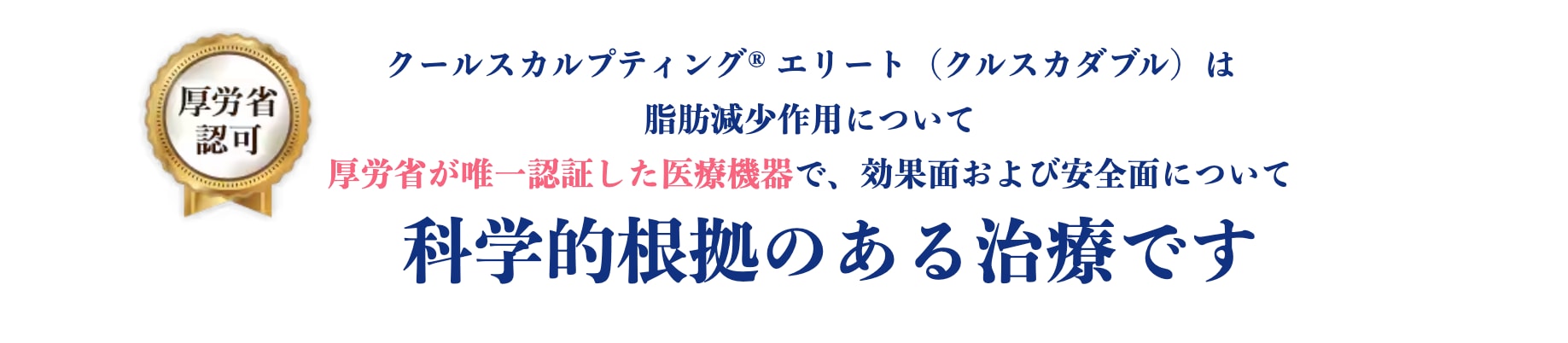 【リバウンドなし!】脂肪を凍らせて破壊して排出する痩身治療🧊