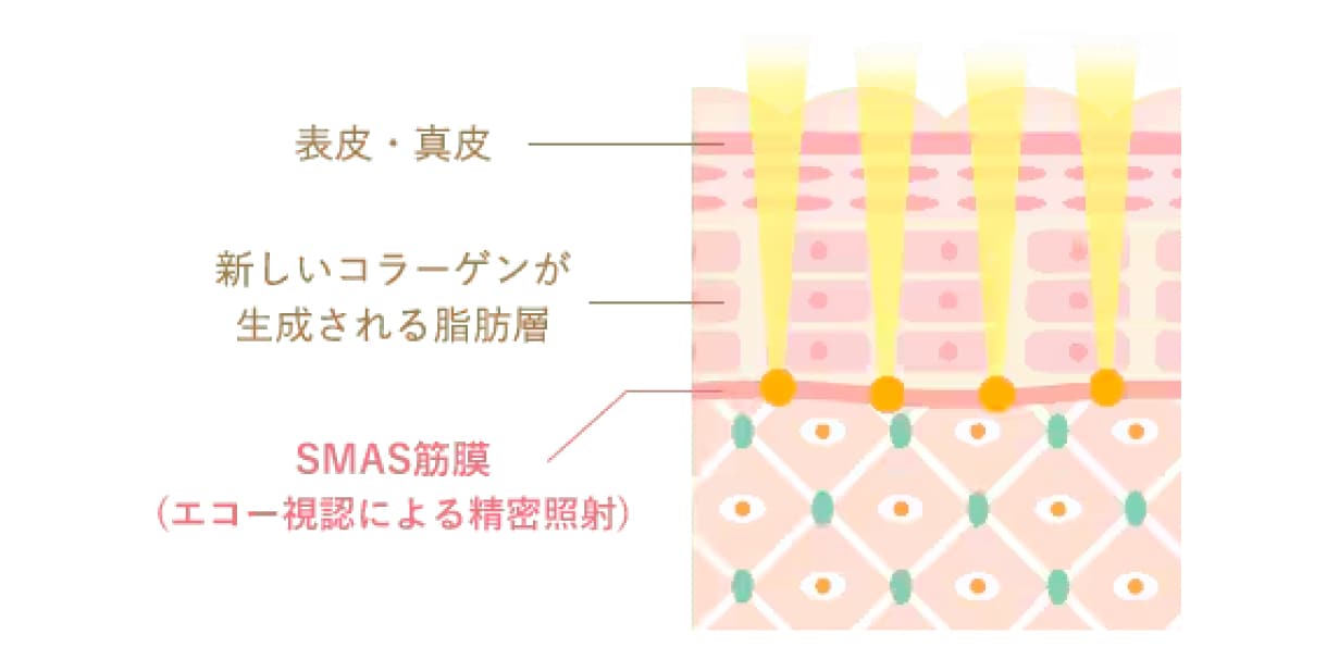 ① 土台からコラーゲンを育てる「深層肌育」