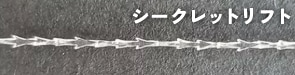 ③ しっかり上げたい&長持ち希望 → シークレットリフト or テスリフト