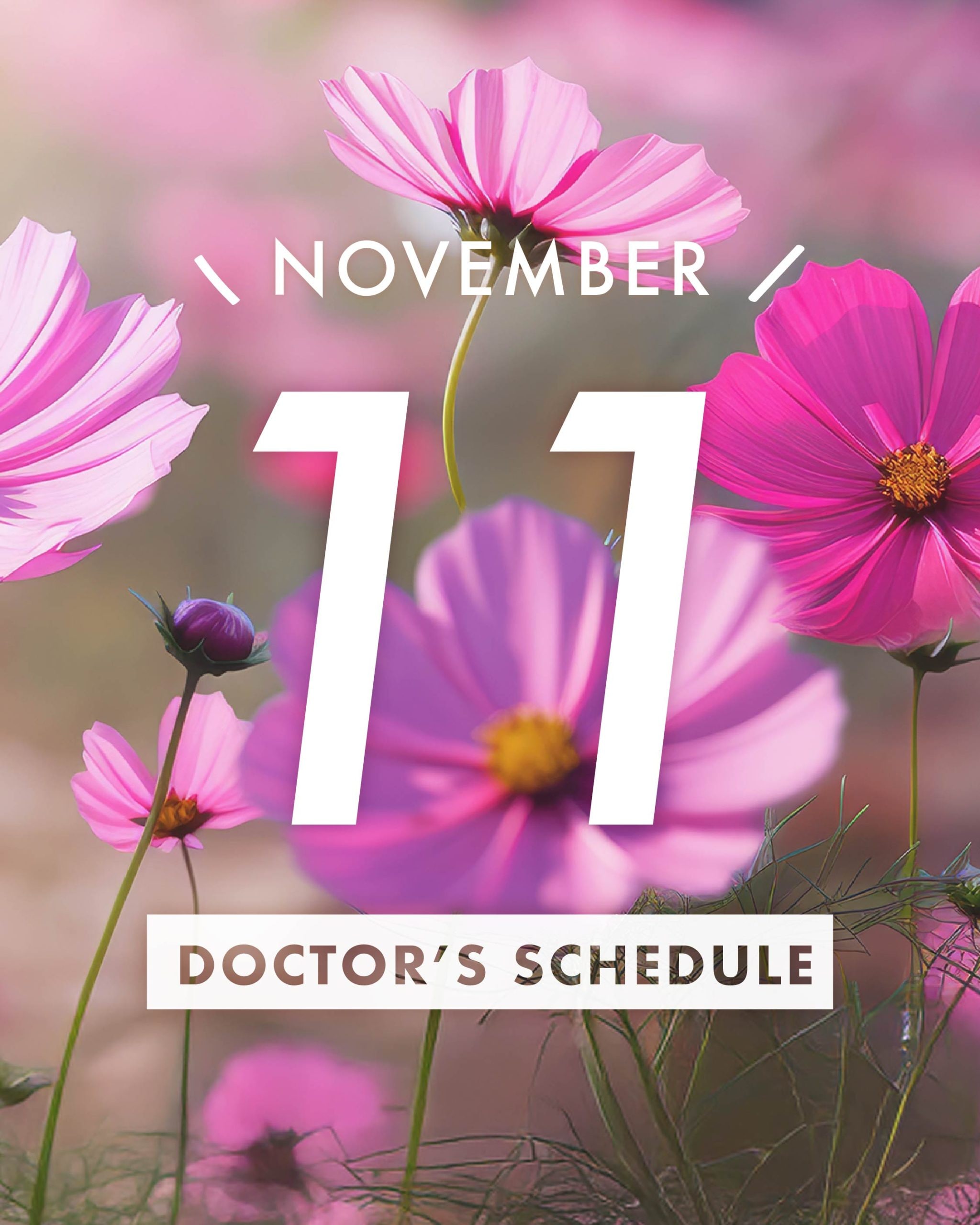 11月皮膚科Doctorカレンダー / 湘南美容クリニック新宿本院